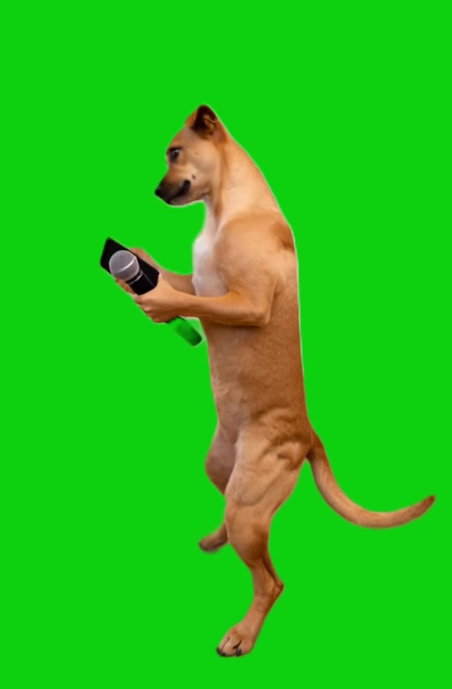 Karaoke Dog - baby green screen