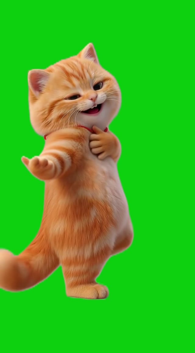Dancing cat green screen