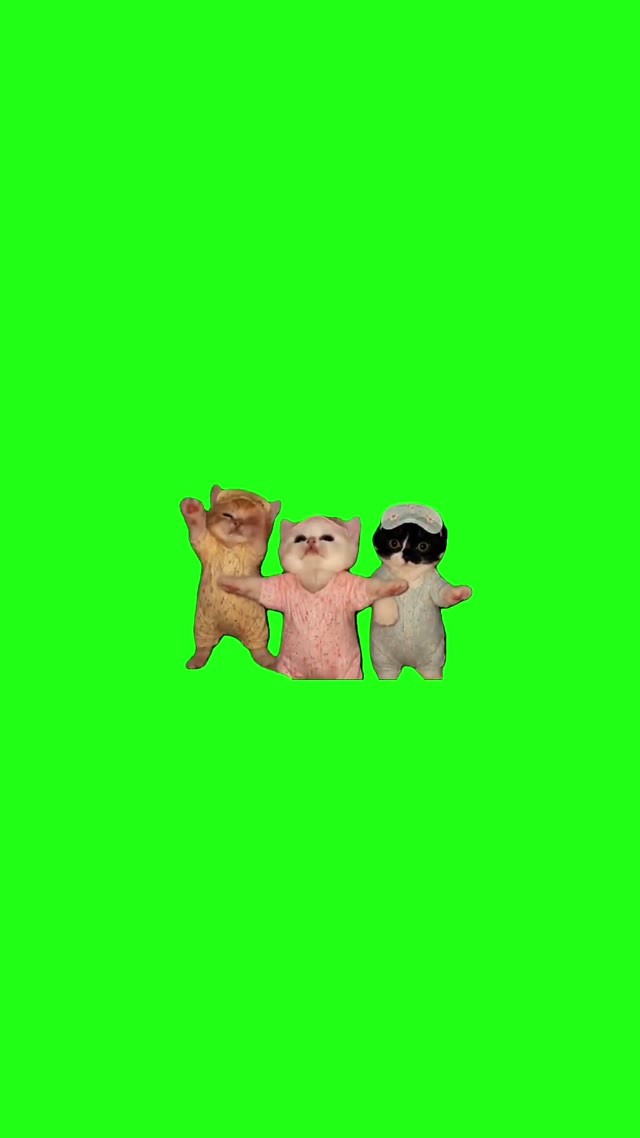 3 Kittens Dancing green screen