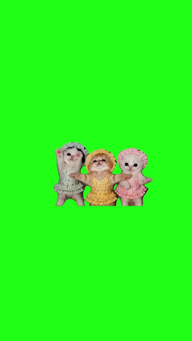 3 Kittens On Beach Dancing green screen