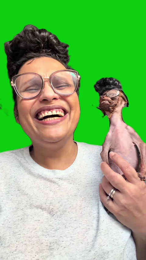 Dog look like mom green screen