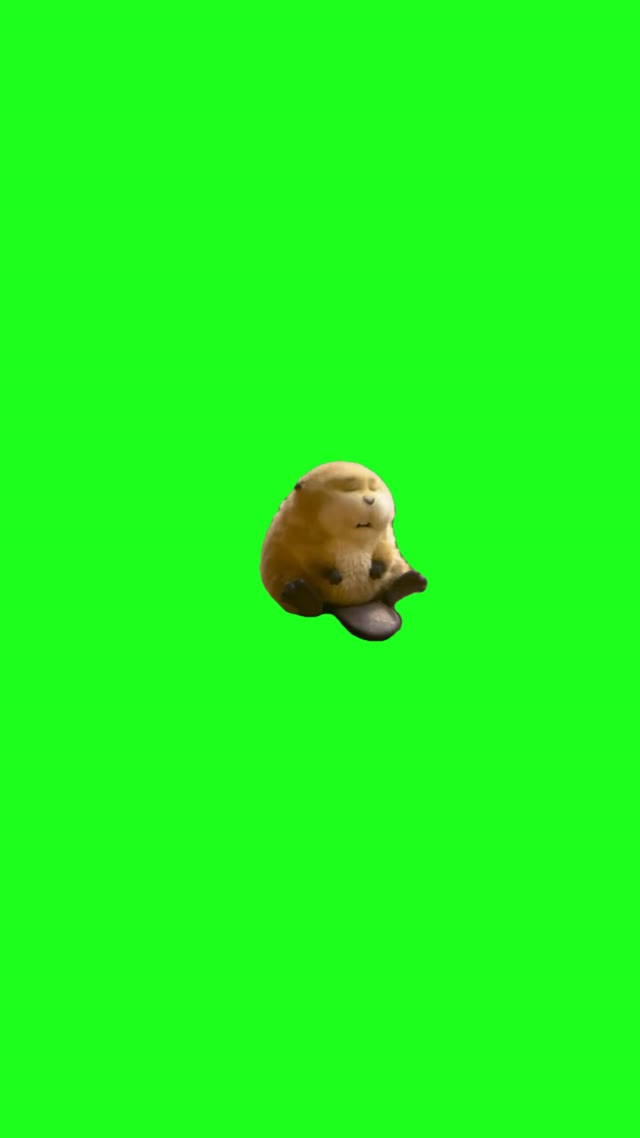 Beaver smiling green screen