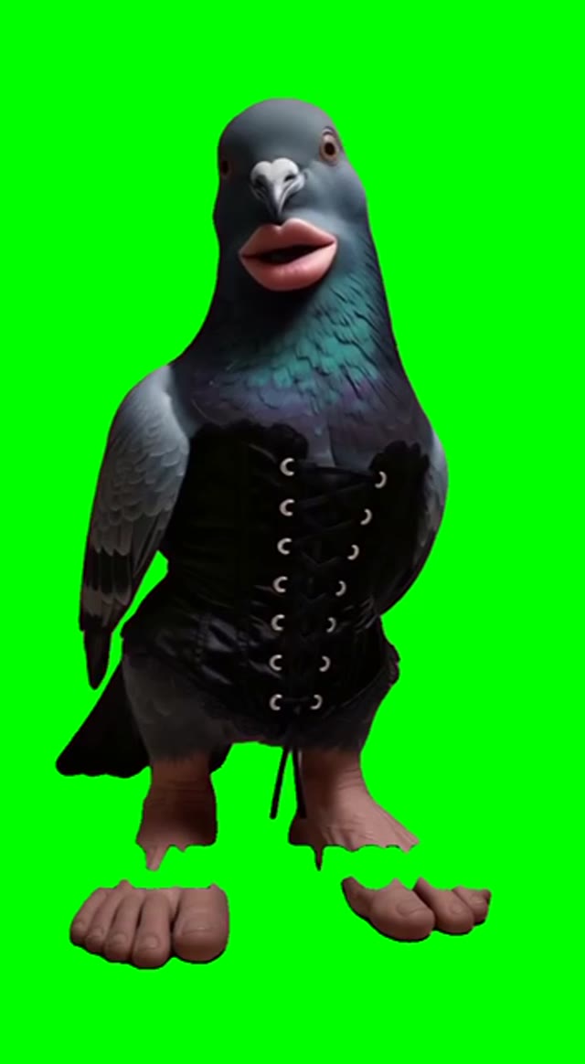 Birdie Whispering Bare Minimum green screen