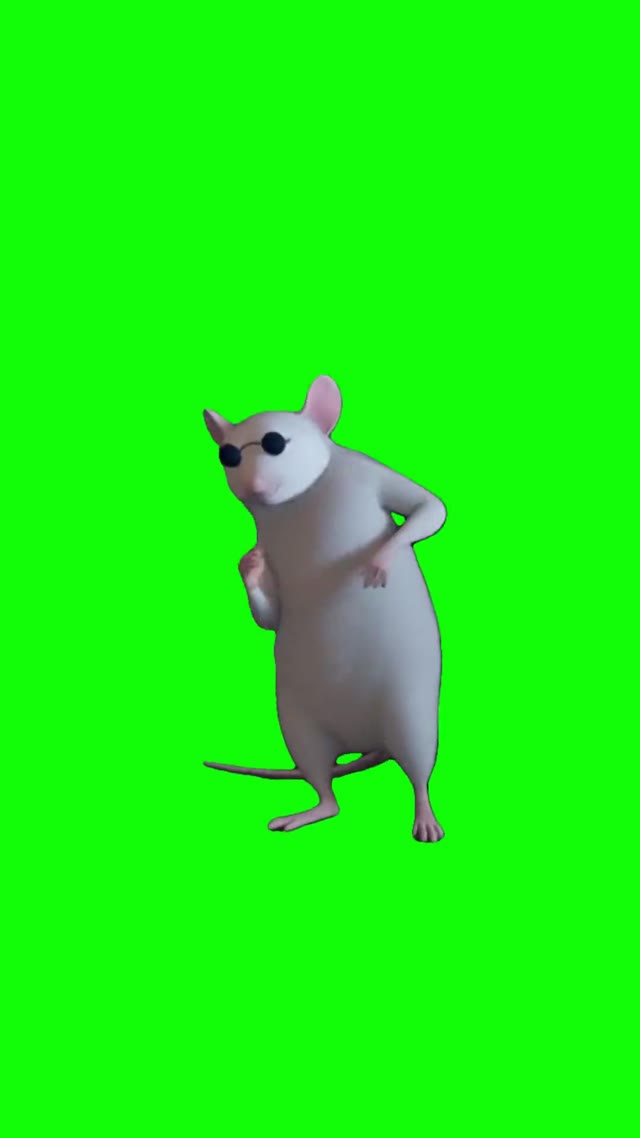 Blind rat dancing green screen