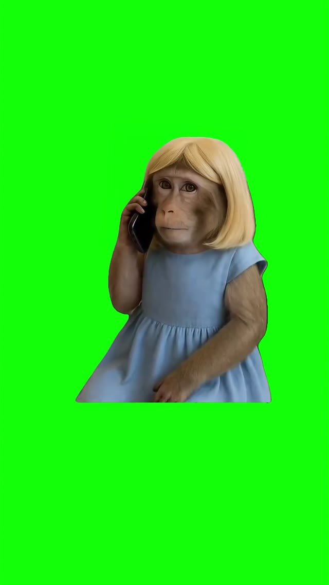 Blue dress monkey on the phone green screen