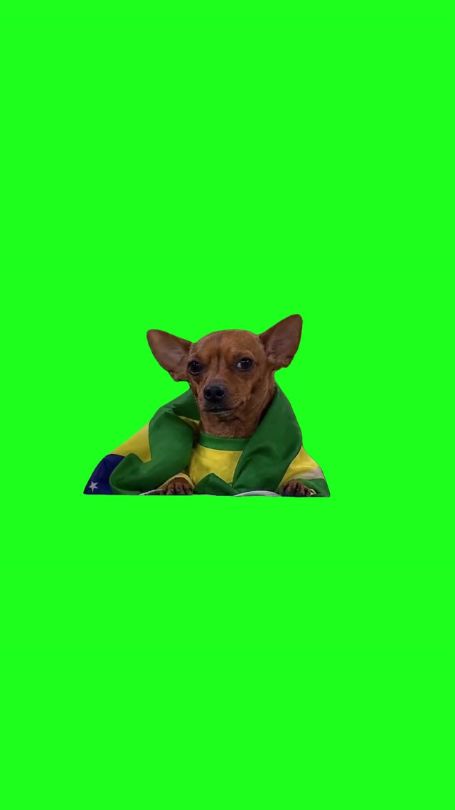 Brazils Most Dedicated World Cup Fan green screen