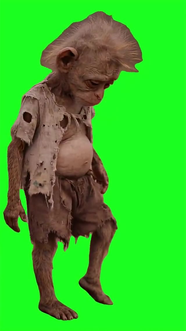 Broke monkey dancing green screen