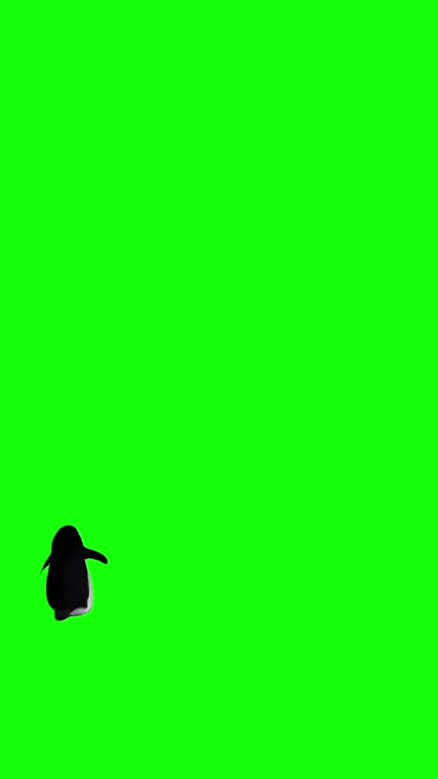 But why penguin trend 4k green screen
