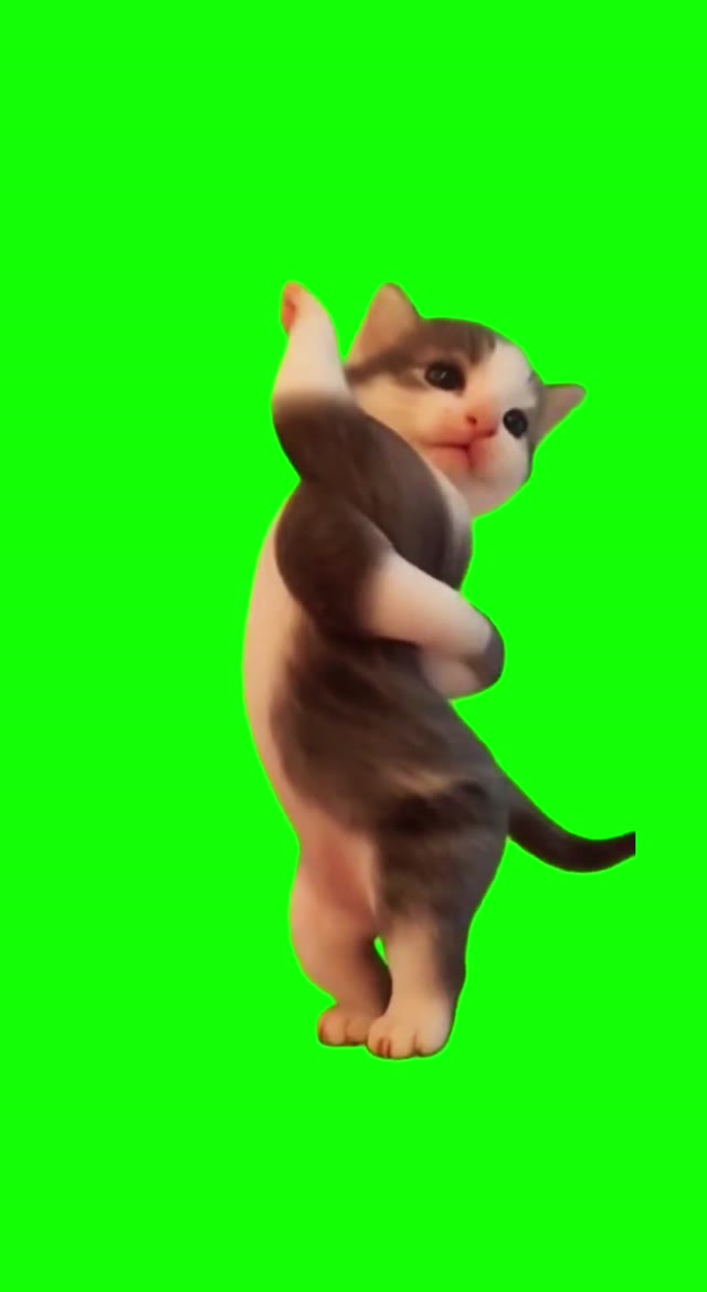 Cat Scuba Is Dancing To Dracula green screen