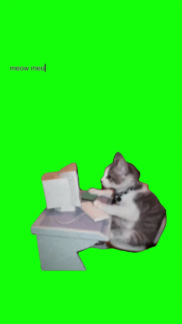 Cat Typing Meowmeow green screen