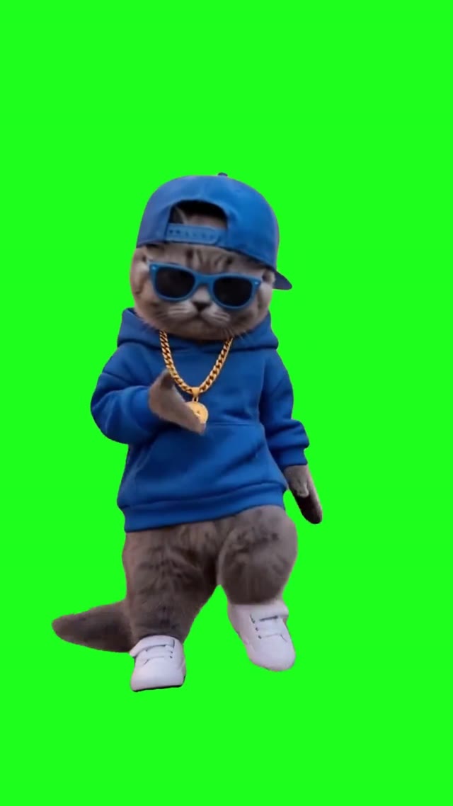 Cat Dancing green screen