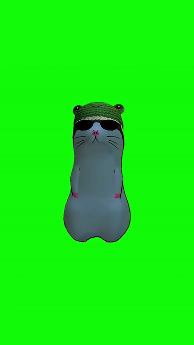 Cat dancing  green screen