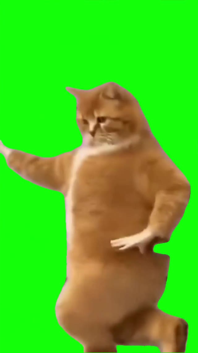 Cat dancing phonk green screen