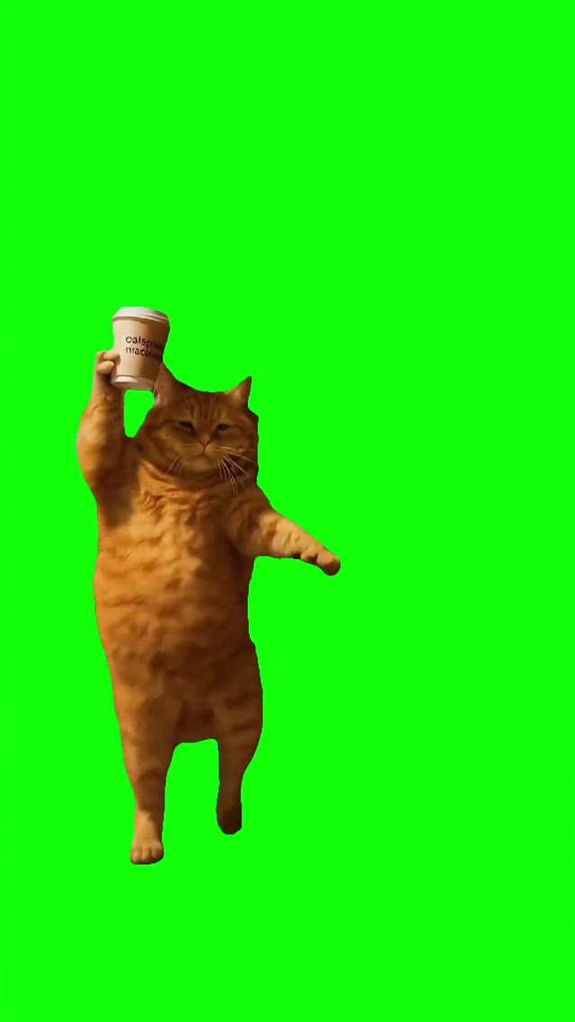 Cat dancing with coffee  green screen