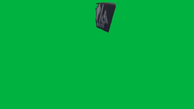 Cat in the hat Belt green screen