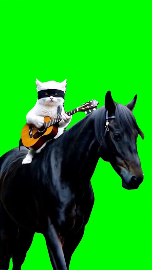 Cat playing guitar in riding horse  green screen