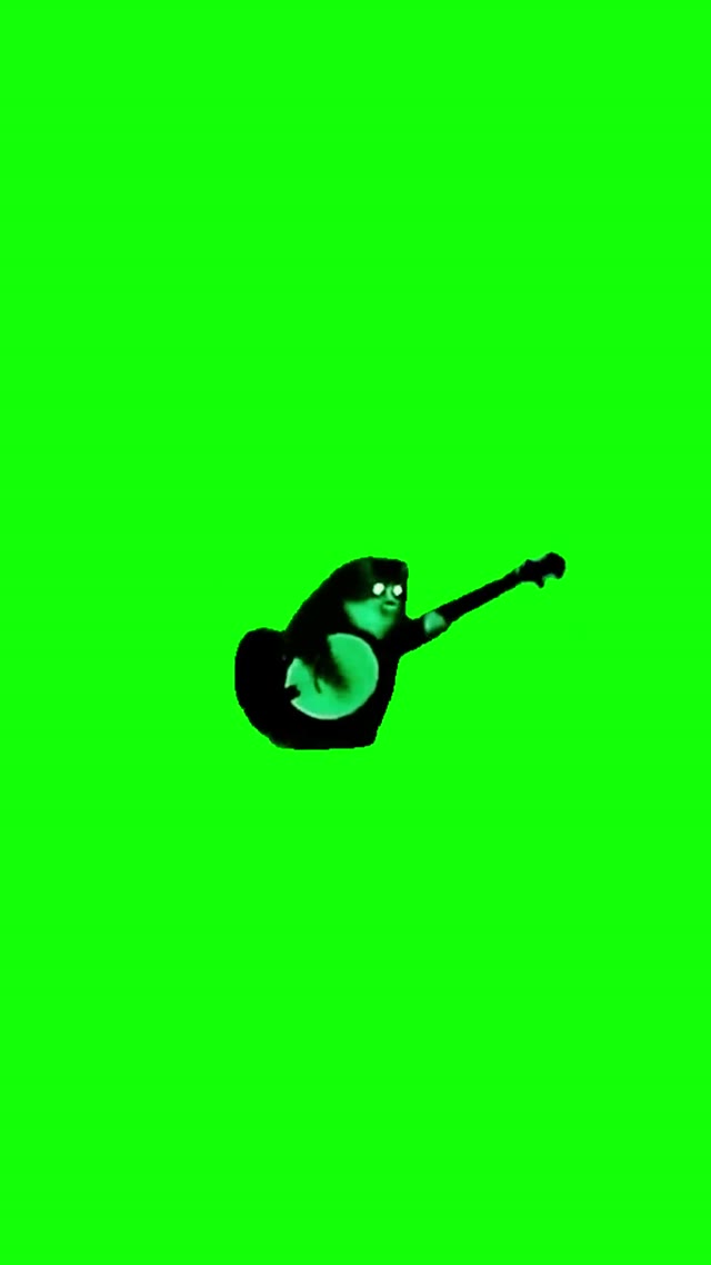 Cat Plays Banjo green screen