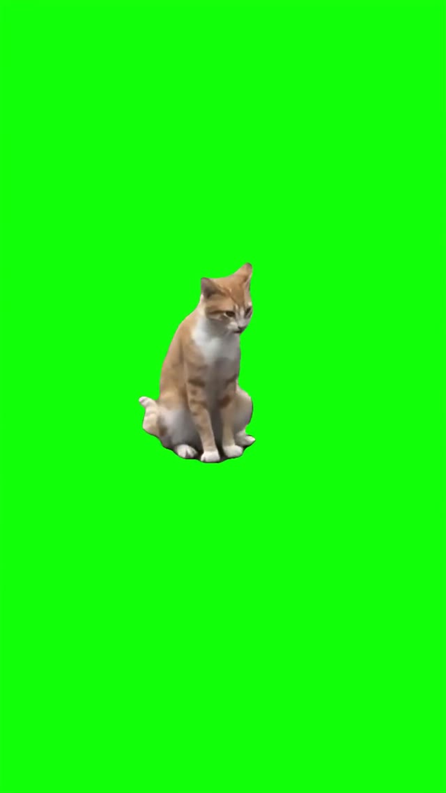 Cat rah rah dance green screen
