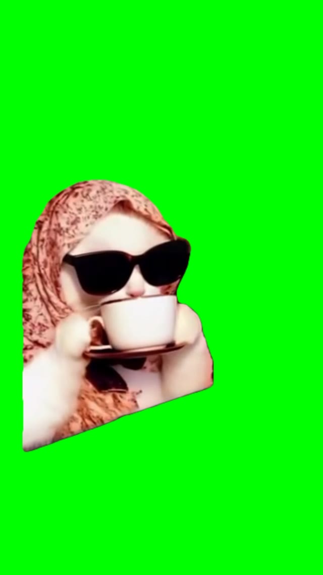 Cat sipping tea green screen