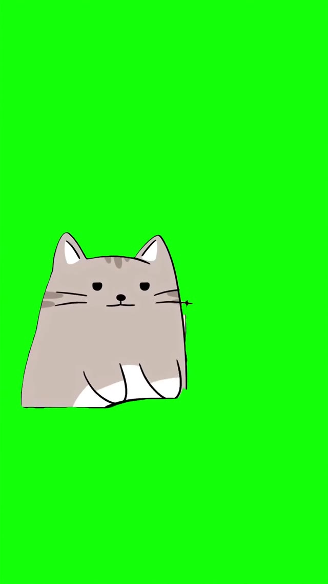 Cat typing fast on keyboard green screen