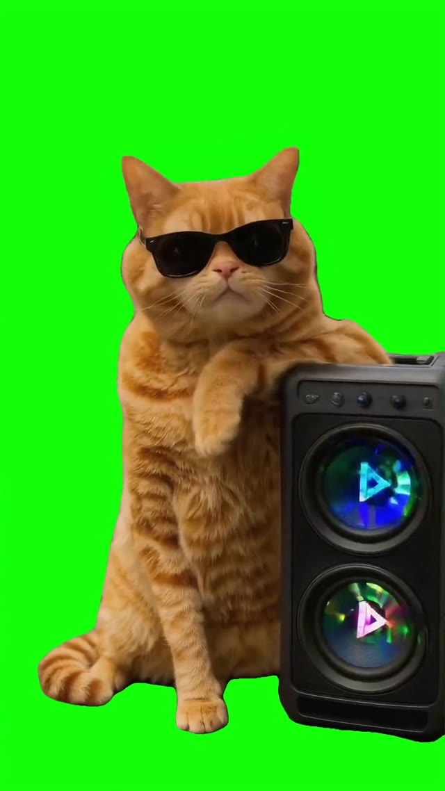 Cat vibing green screen