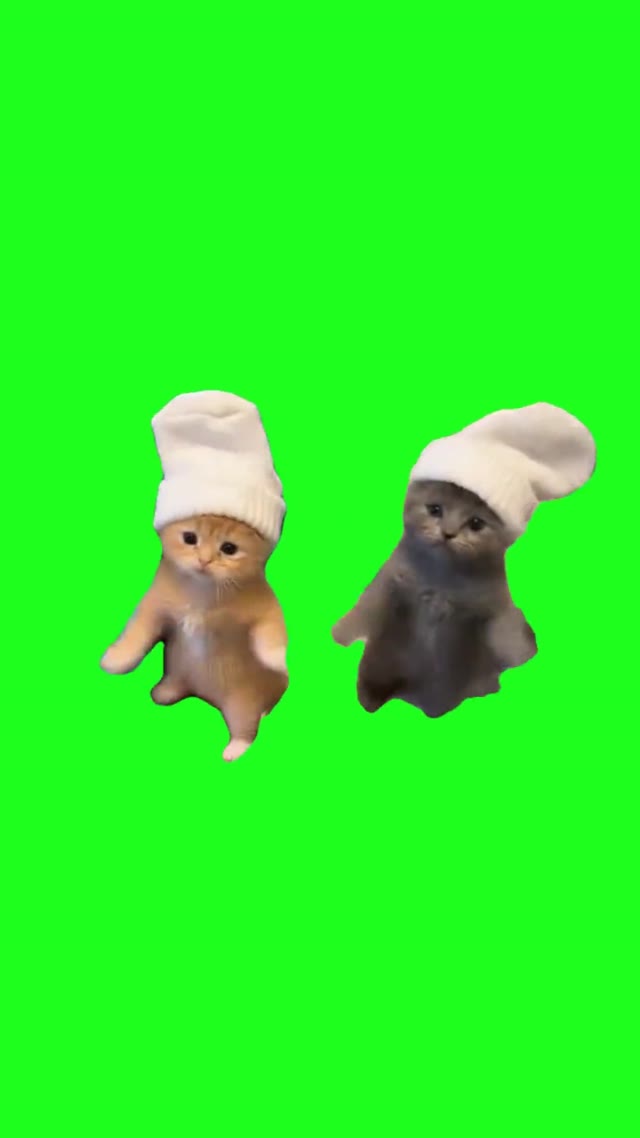 Cats Dancing To Dirty Laundry green screen