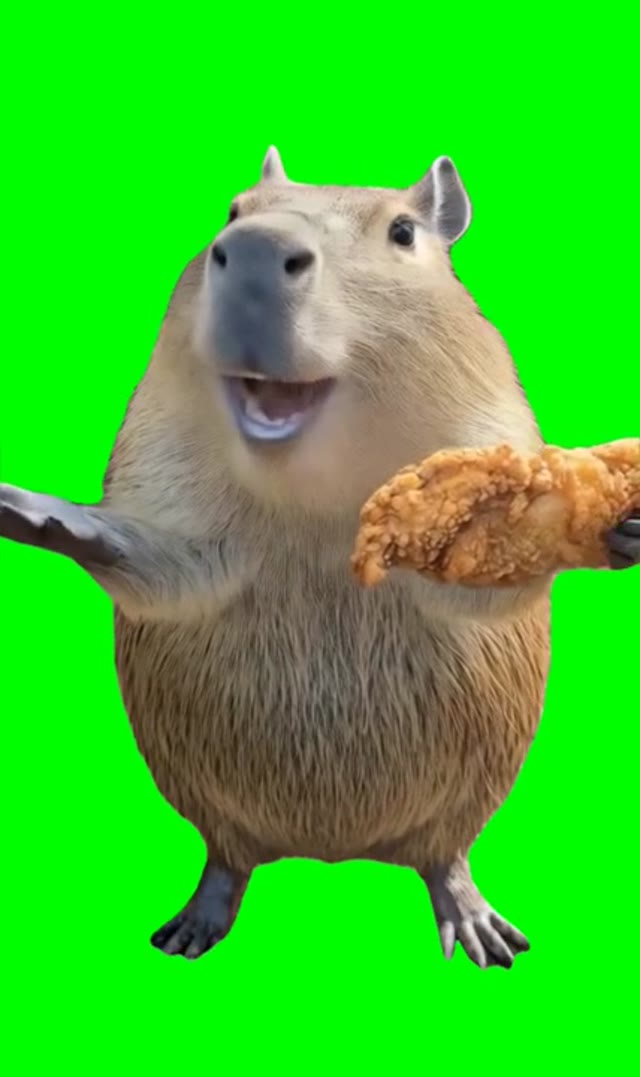 Chicken wing hot dog and balony song green screen
