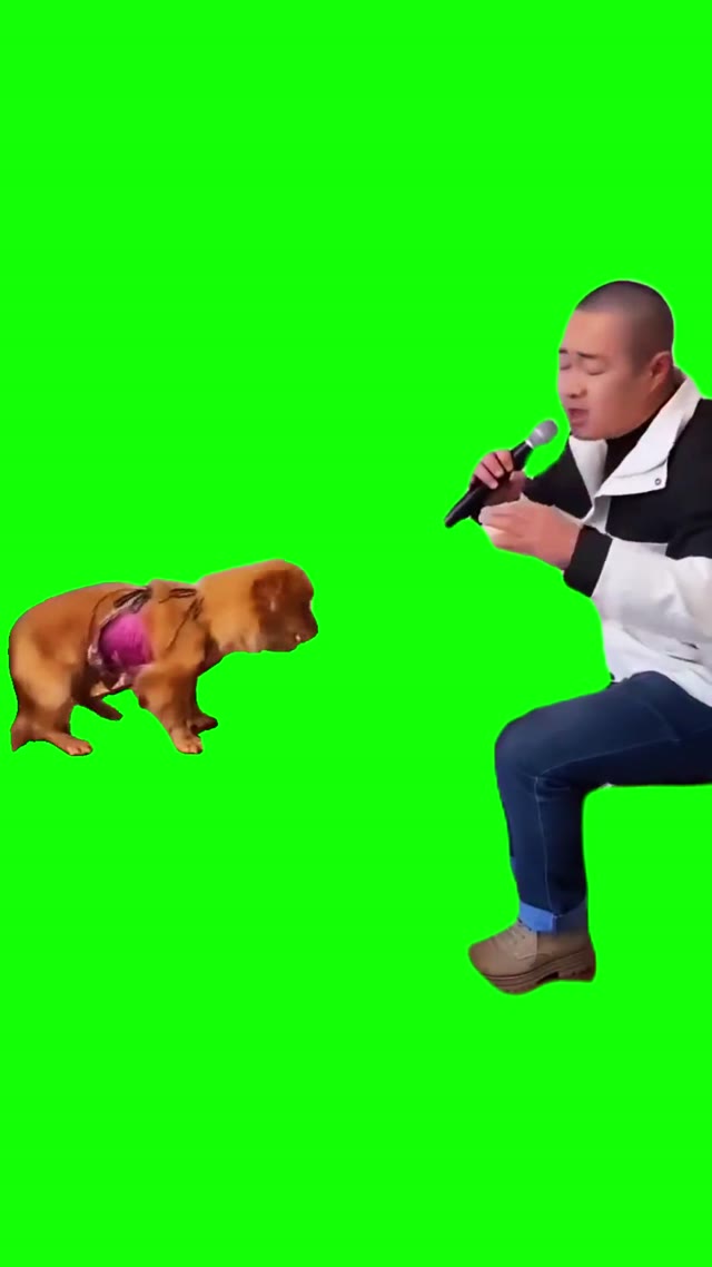 Chinese Man And Dog Sing green screen