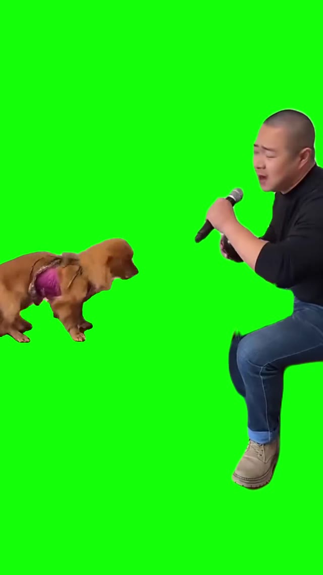 Chinese Man And Dog Singing green screen