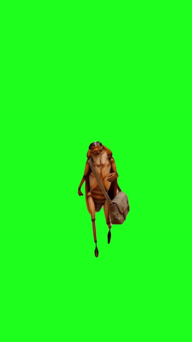 Cockroach Walking green screen