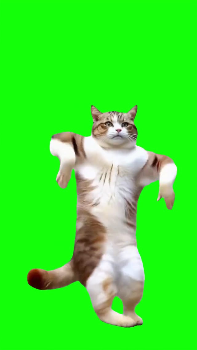 Coco Chanel dance green screen