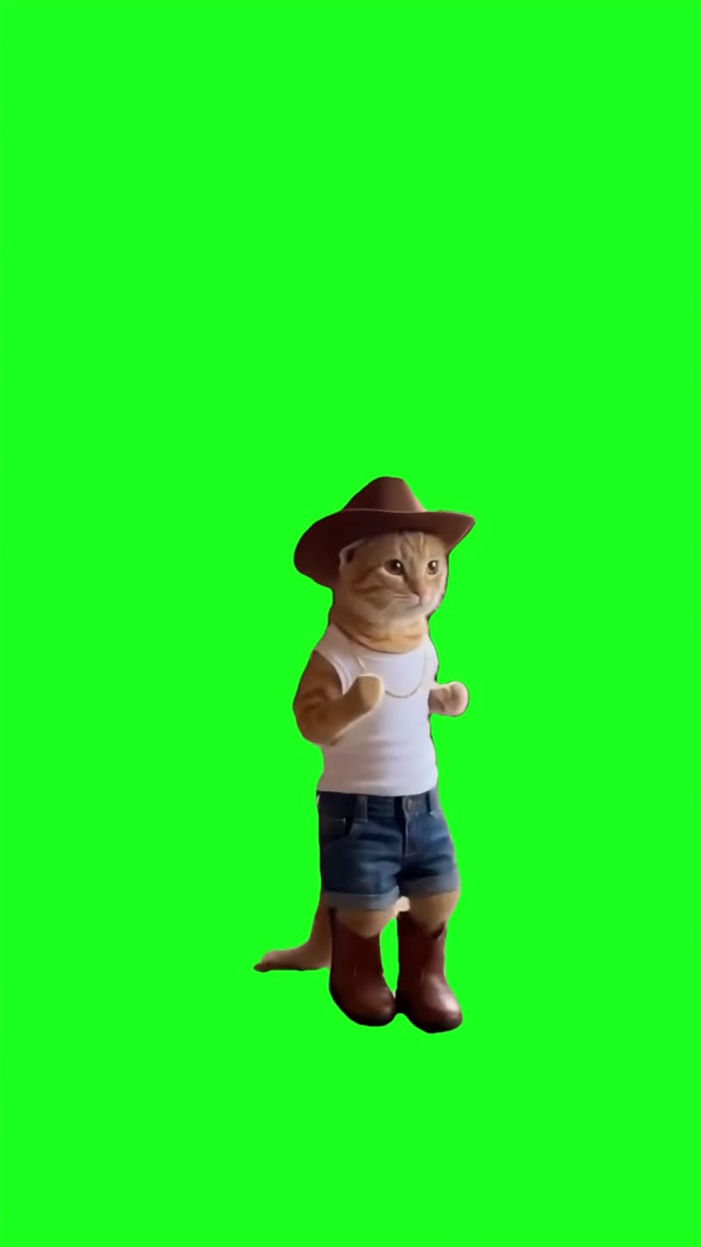 Cowboy cat dancing green screen