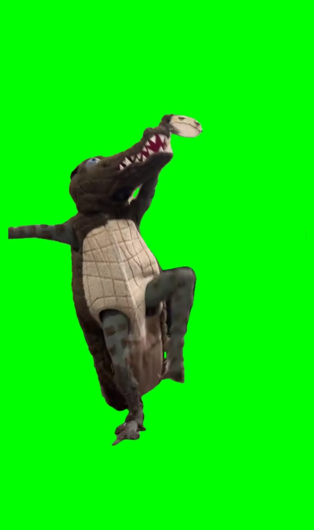 Crocodile dancing green screen