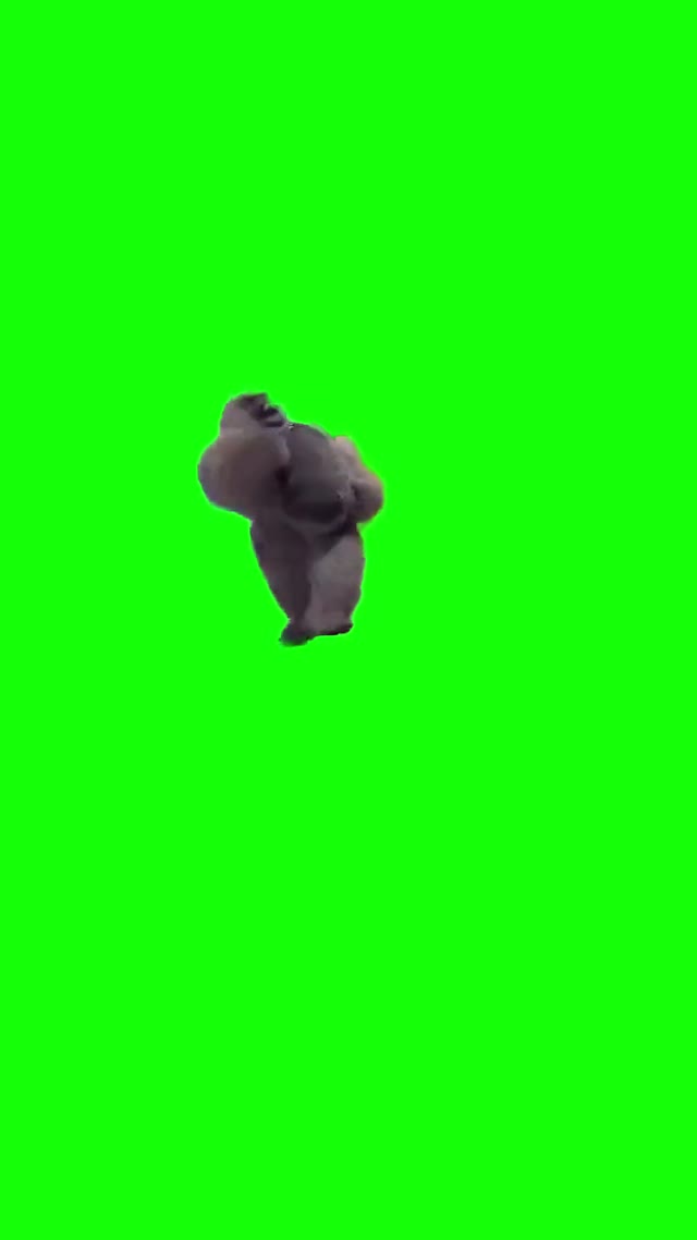 Dancing Gorilla green screen