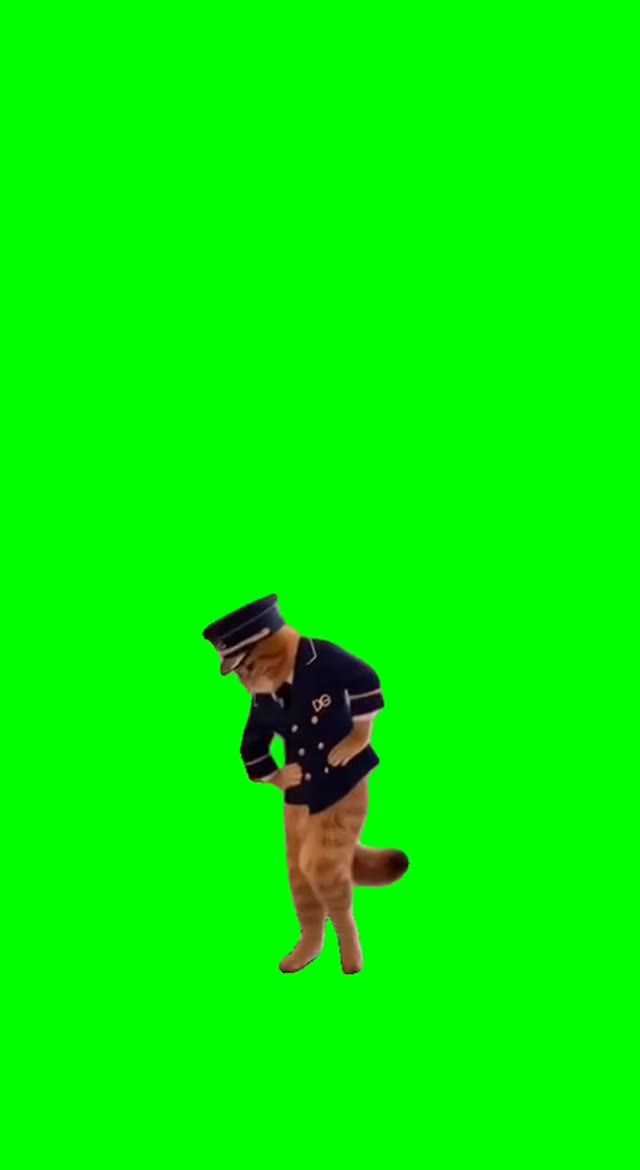 Dancing Railway Cat green screen