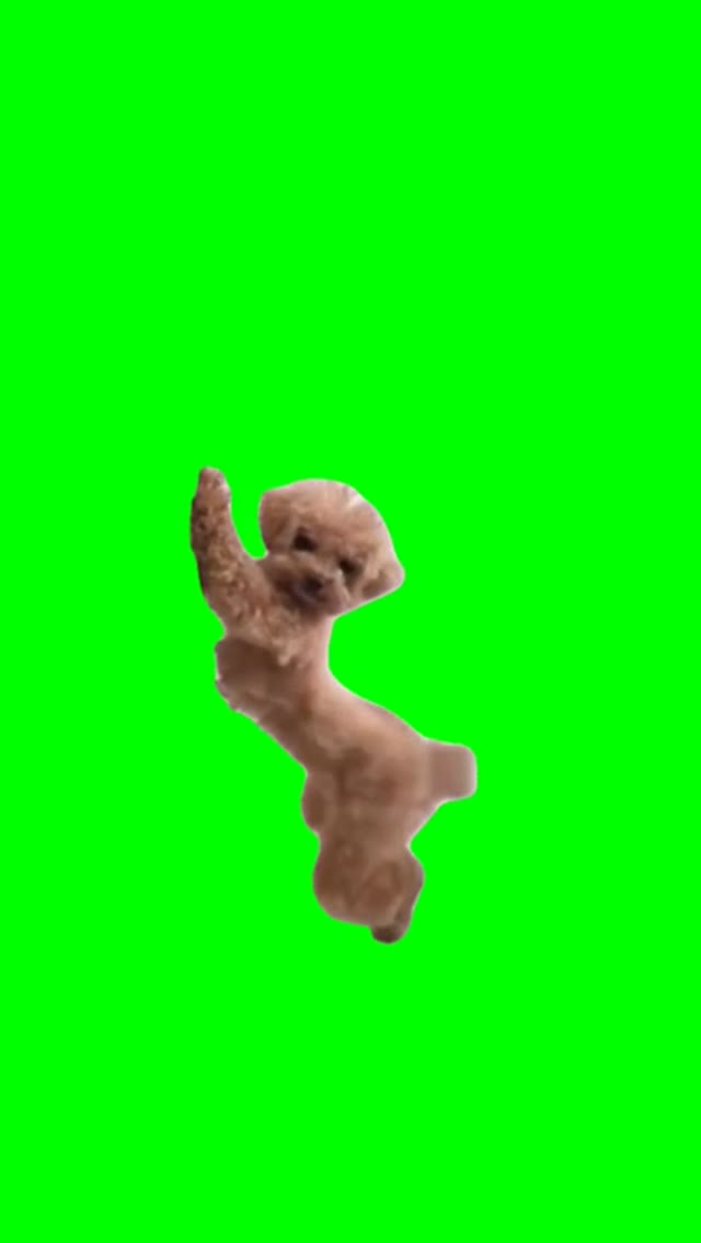 Dancing dog green screen