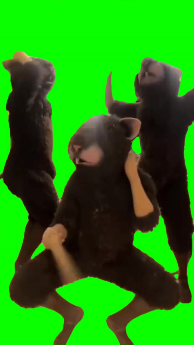Dancing rats green screen