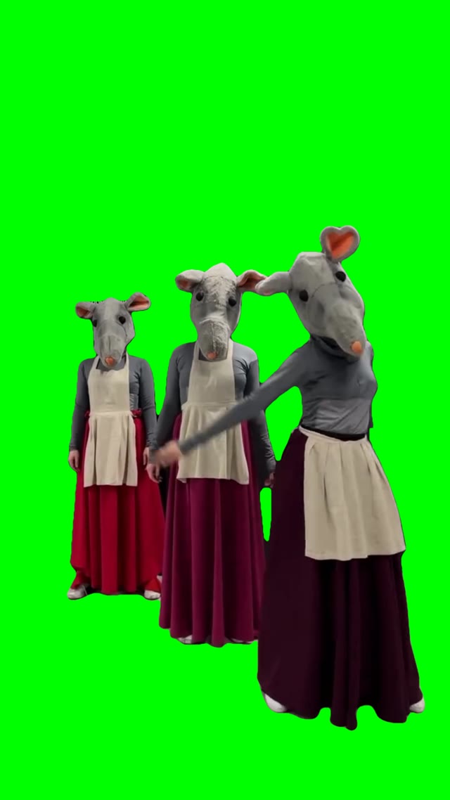 Dancing rats green screen