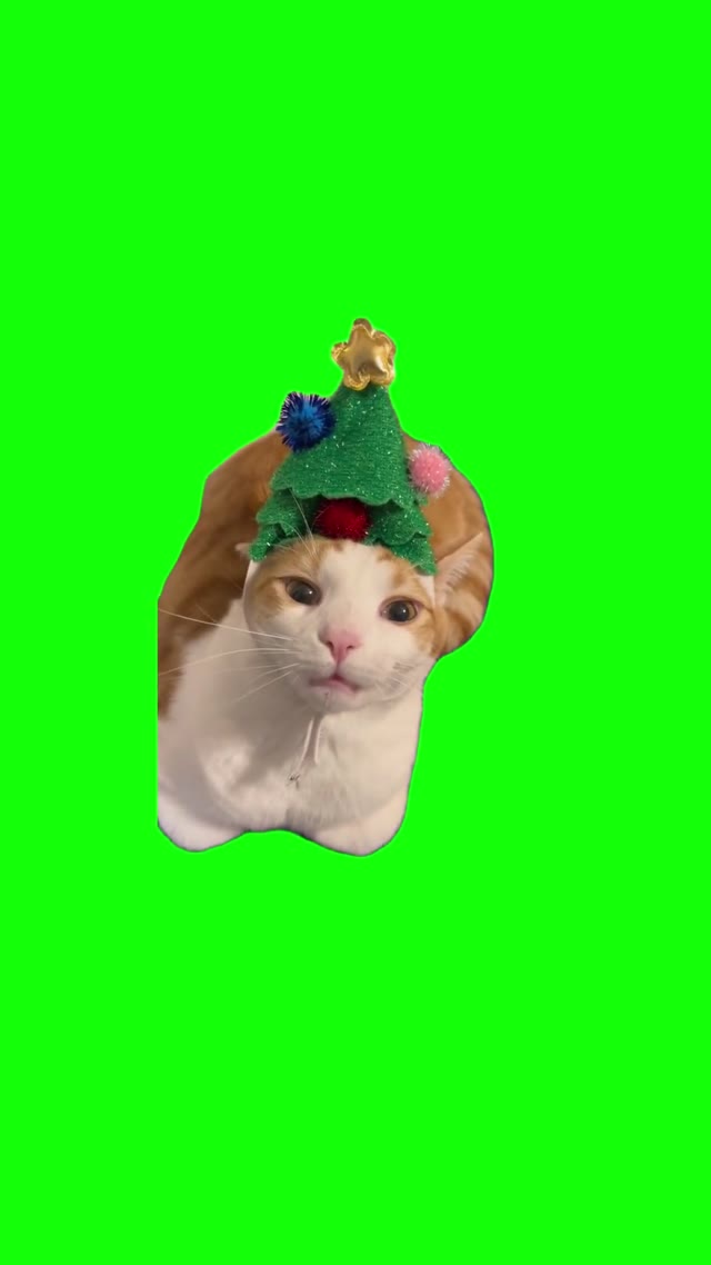 Desde Septiembre green screen