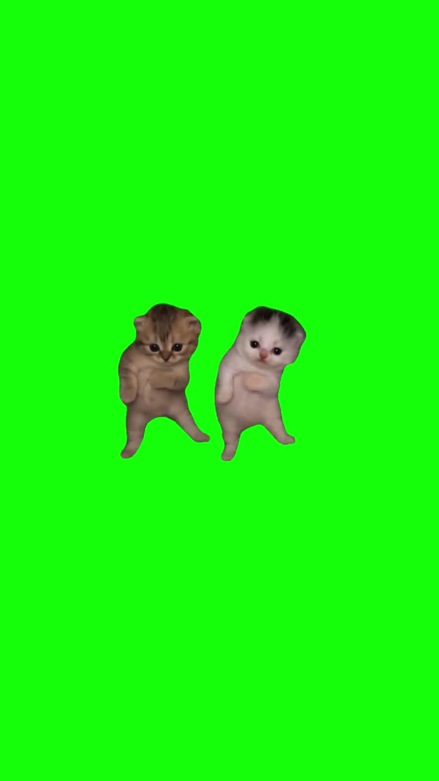 Do It Again X Kittens green screen