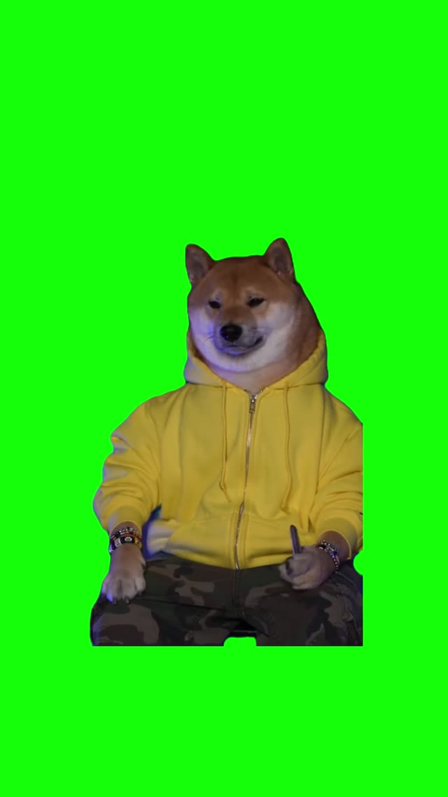 Dog Stole It green screen