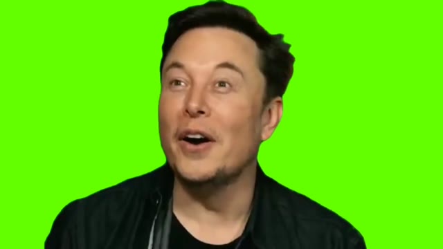 Elon Musk Laugh green screen