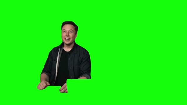 Elon Musk Laughing at Deer green screen
