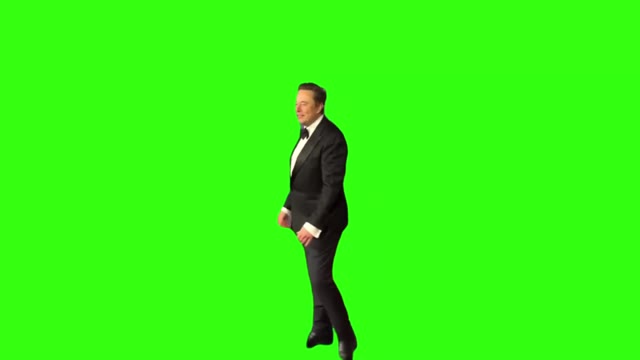 Elon Musk green screen