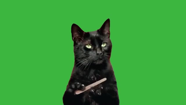 Filing nails green screen