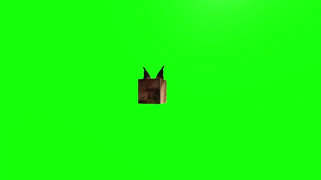 Floppa cube green screen