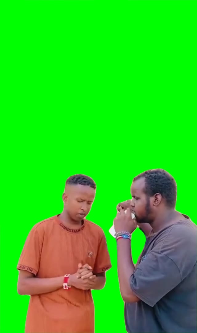 Fortnite or PUBG green screen
