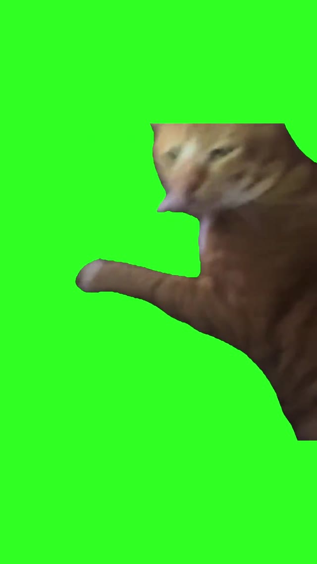 Giving The Annoyed Look green screen