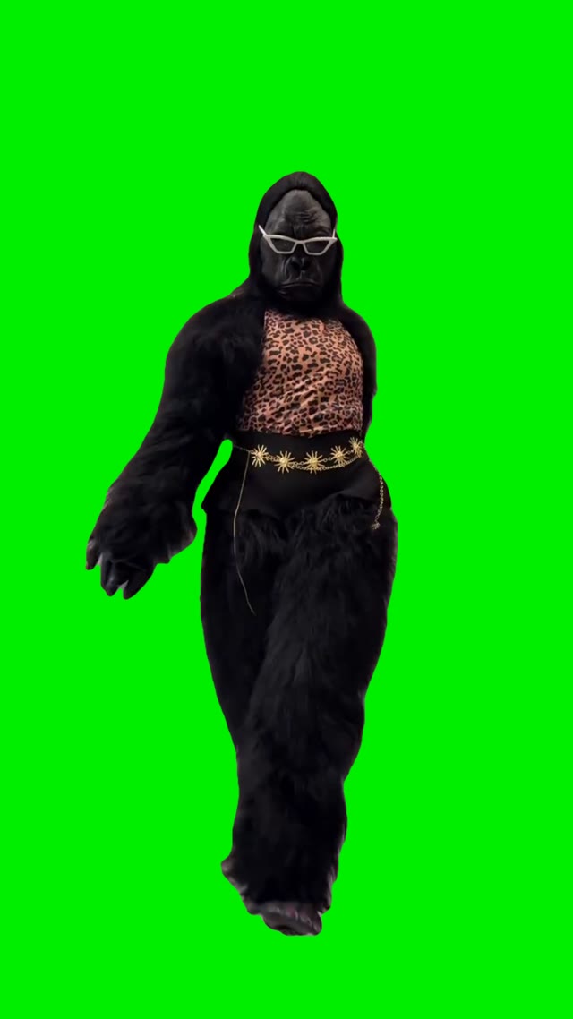 Gorilla dancing green screen