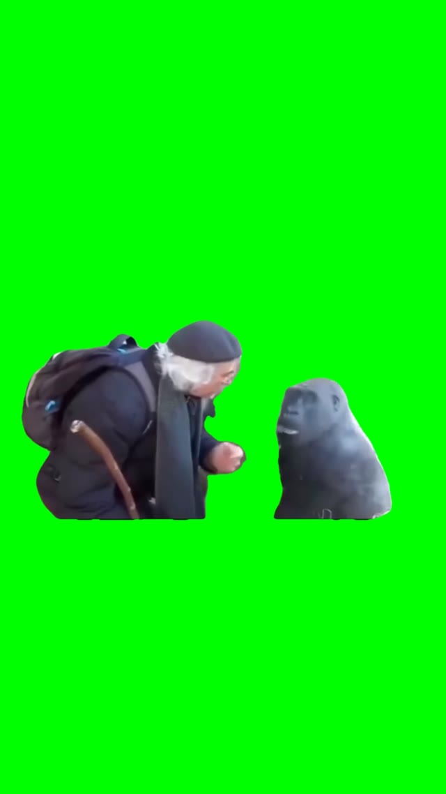 Guy Talking With Monkey green screen